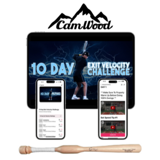 CamWood Bats